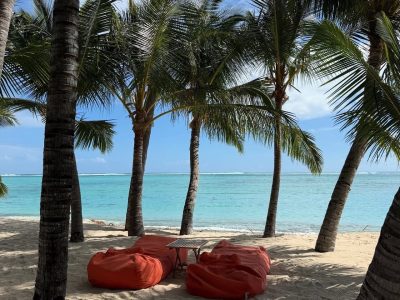 10-Dinarobin Beachcomber-504495216_18413178832102411_3272004494136812272_n Groot