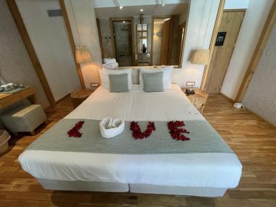 359145503_10159156991340876_7954444958704636034_n