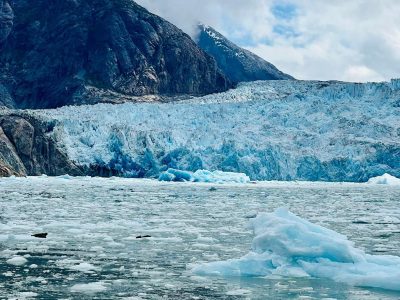 Alaska Cruise Holland America Line Tracy Arm Fjord zeeleuwen