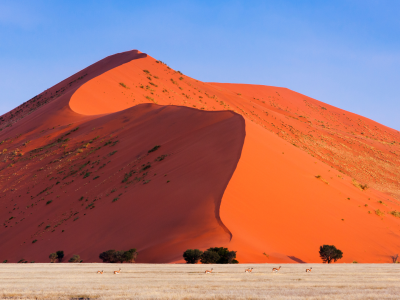 Asteria Namibië Groepsreis Reizen Staelens