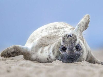 Denemarken7