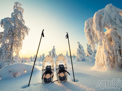 Lapland sneeuwschoenen Reizen Staelens