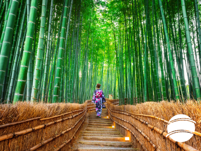 Shutterstock-KyotoBamboebos