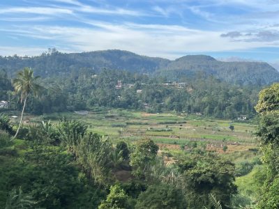 Nuwara Eliya