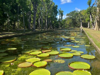 Mauritius Reizen Staelens Pamplemousses  luxe strandvakantie Travelworld