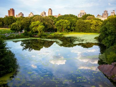Central Park