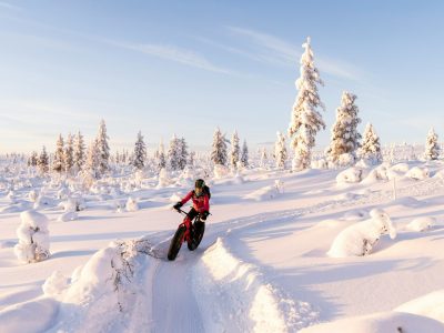 Fatbikes