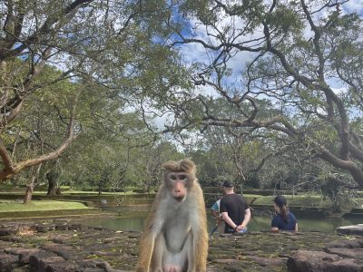 Sigiriya
