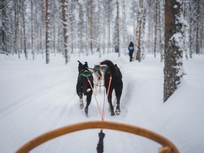 Huskysafari