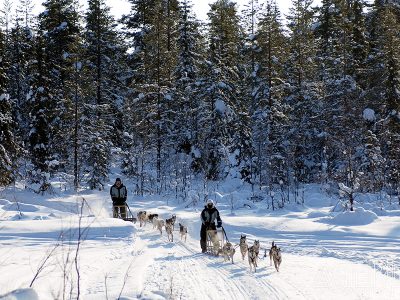lapland rust natuur huskysafari