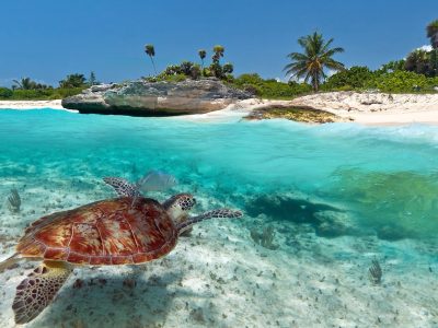 rechtstreekse-vluchten-luxe-hotels-punta-cana-cancun-4 groot