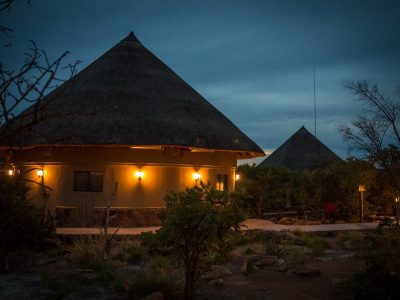 rhino bungalow night groot