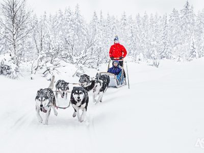 ruka-glass-village-avonturenweek-huskysafari