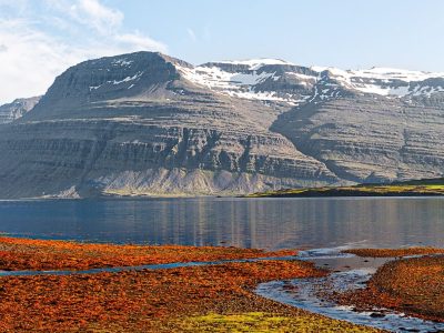 scenic-cruising-berufjordur-061319-c037