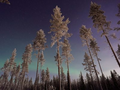 Lapland