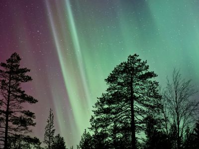 Lapland