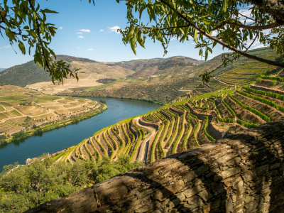 Reizen Staelens Portugal rondreis huurwagen douro Imagine Travel