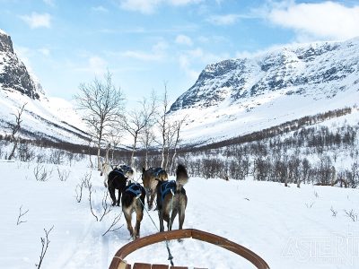 Tromso huskytocht Asteria Expeditions Reizen Staelens