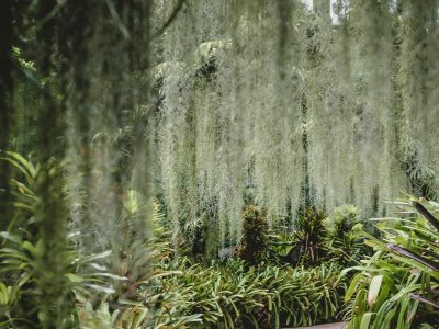 Singapore-10