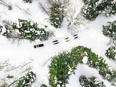 sky-view-villa-avonturenweek-huskys-natuur